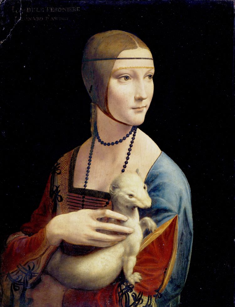 Etwa 1490 malte Leonardo Da Vinci die Dame mit dem Hermelin mit Öl und Tempera auf Holz. Das Tiergemälde hat eine Größe von 54,8 × 40,3 cm und wurde im Auftrag von Ludovico Sforza angefertigt.
