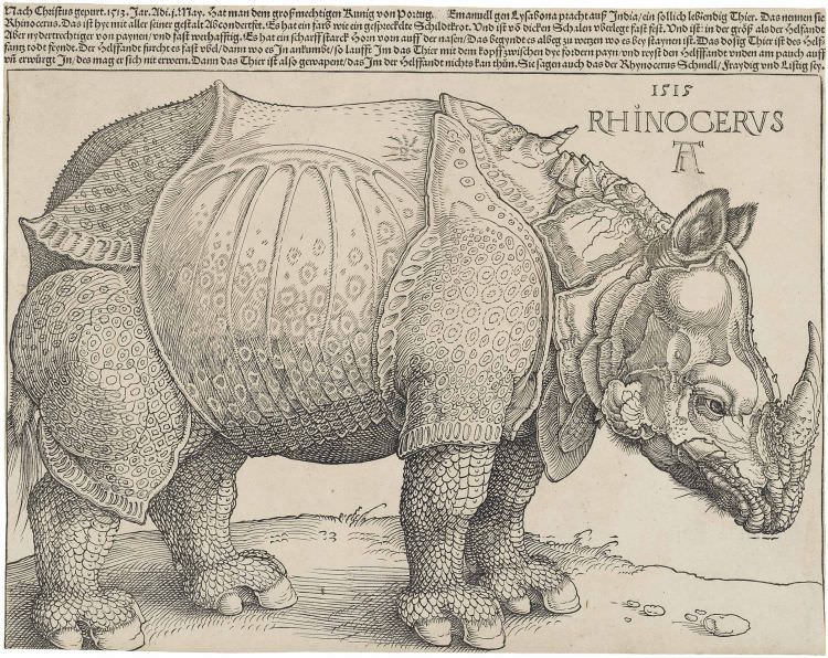 Albrecht Dürer fertigte 1515 den Holzschnitt mit dem Titel Rhinocerus an, ohne ein Rhinozeros jemals gesehen zu haben